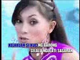 kucing garong http___reguang.co.cc_mpeg4