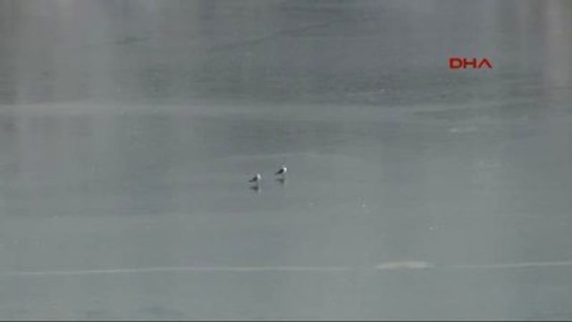 Tunceli - Munzur Çayı 15 Yıl Sonra Dondu