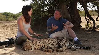 Animal Adventures in Africa! SnakeBytesTV - Ep. 388   AnimalBytesTV