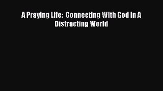 (PDF Download) A Praying Life:  Connecting With God In A Distracting World Read Online