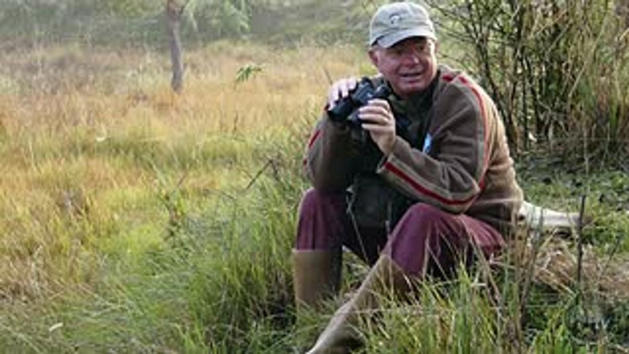 Animals Dance For Sex! 5 Weird Animal Facts -  Ep. 28   AnimalBytesTV