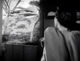 The Second Woman (1950) FILM NOIR