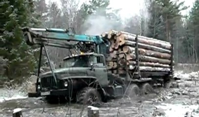 Russians Logging Like a Boss