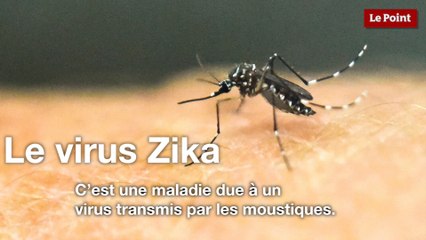 Le virus Zika expliqué en 1 minute