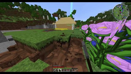Minecraft Farmen #9