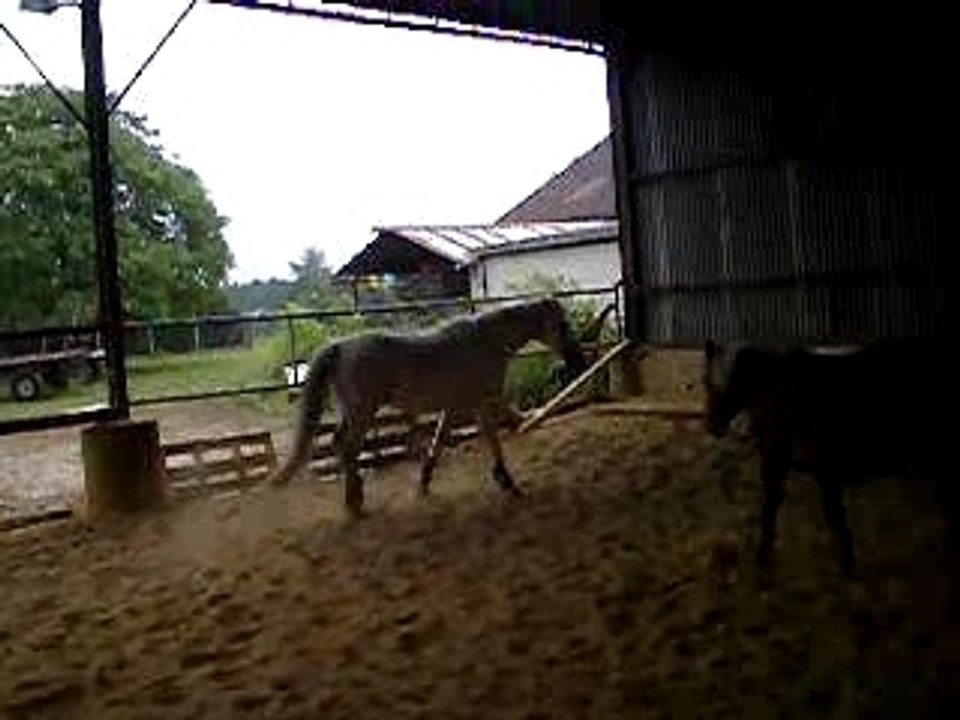 Quand Jojo se déchaine