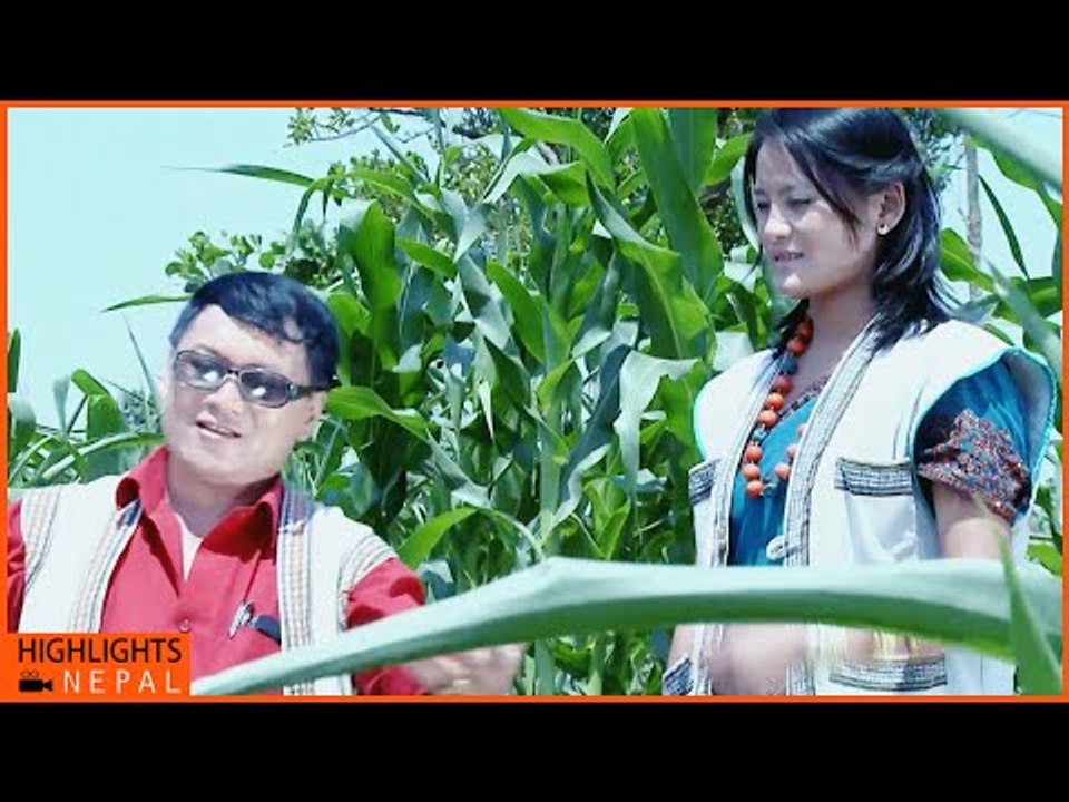 Ghintang Latest Maruni Song | Dhanu Gyangmi, Pragati, Ramila | Jantaranga Multimedia