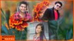 Aayo Dashain Tihar Aayo | Dashain Song 2072 | Pawan Pariyar, Bindu Bihani | GP Creation