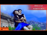 Latest Lok Dohori Song DILLAI TODAYRA | Binod Shrestha , Purnakala B.C.| Janata Digital