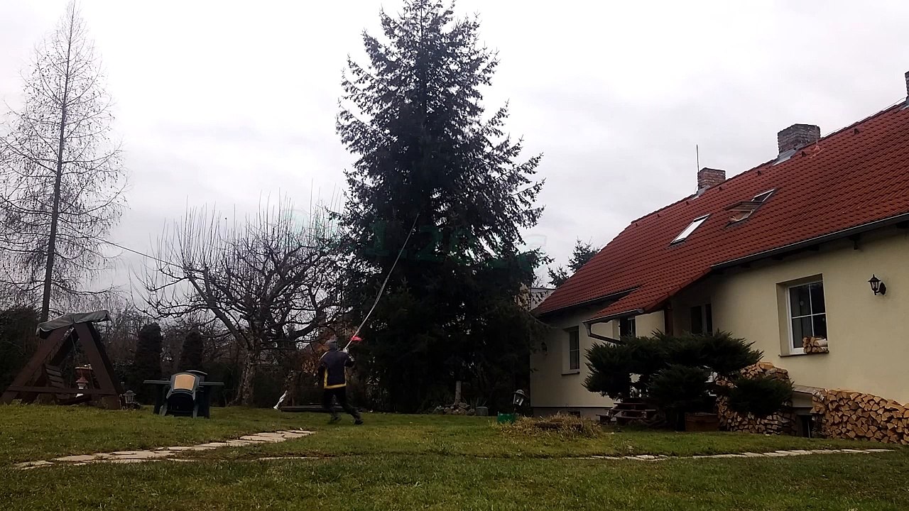 28.1.2016 Trees Cutting