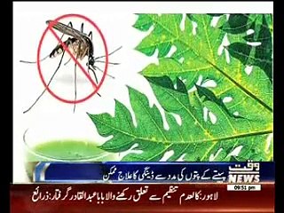 Dengue Fever Treatment