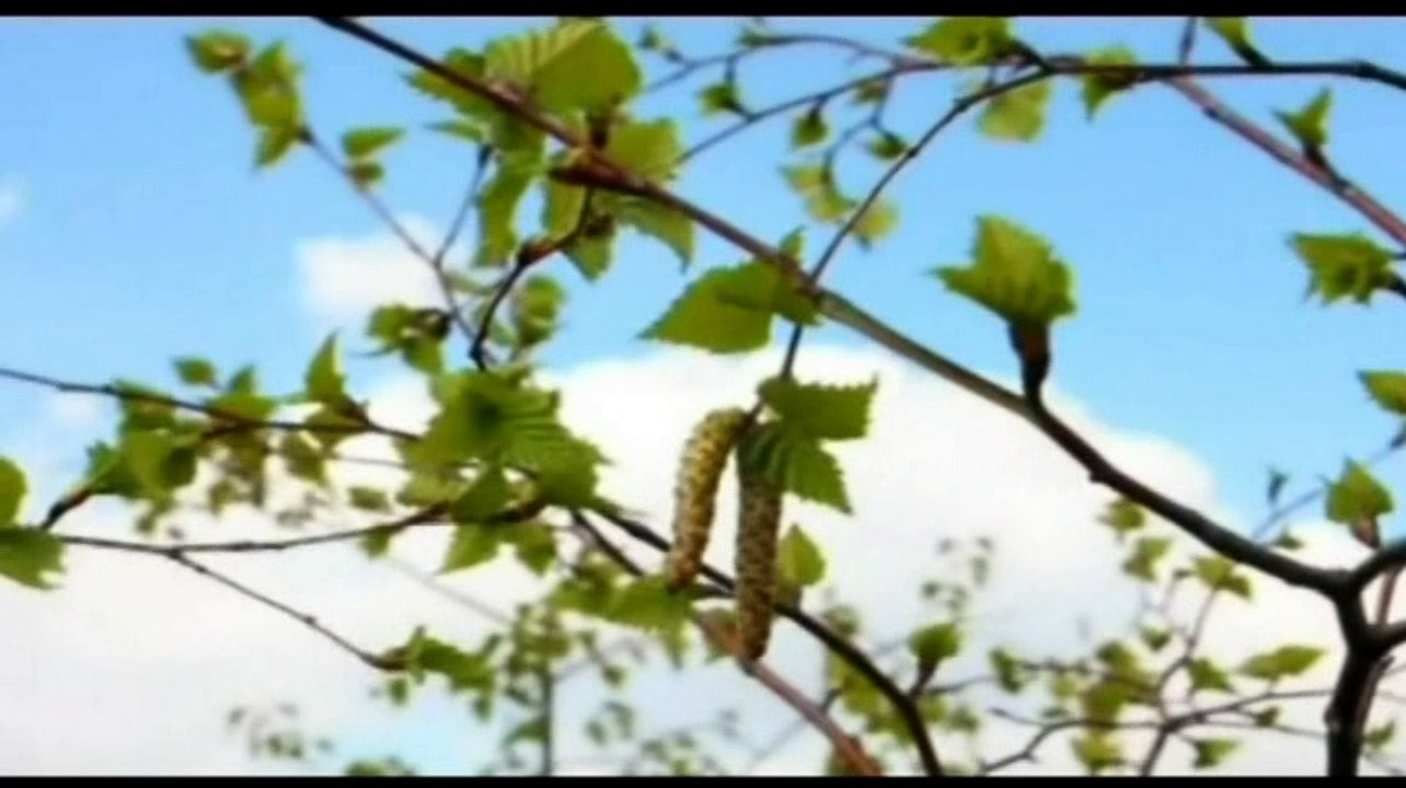 قصص البر~ البر برنامج حياة ~ رجل يطعم مسكينا 22 سنة ~ الشيخ سعد العتيق.