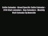 Collie Calendar - Breed Specific Collie Calendar - 2016 Wall calendars - Dog Calendars - Monthly