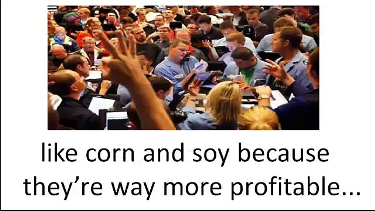 Backyard Liberty - Food Production and Survival Info Add