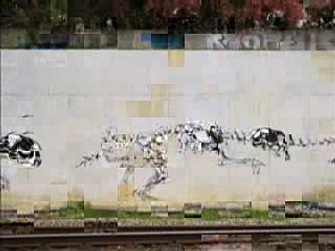 Граффити, бегущее во время езды