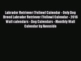 Labrador Retriever (Yellow) Calendar - Only Dog Breed Labrador Retriever (Yellow) Calendar