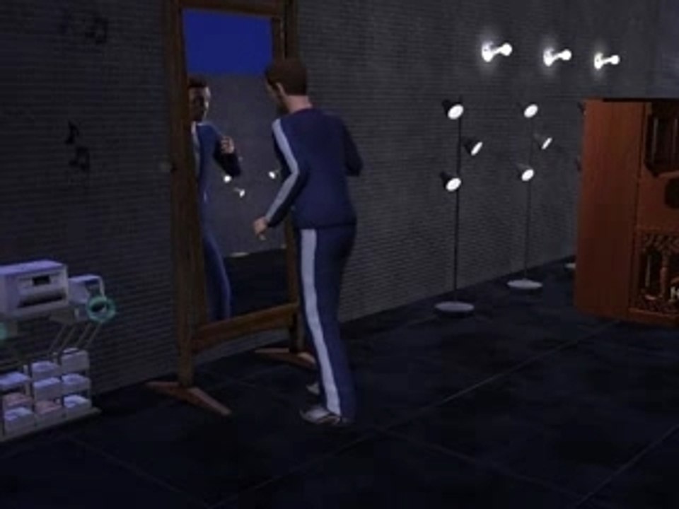 Clip des sims LILI Fin ancienne