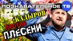 Кадыров против плесени (Познавательное ТВ, Артём Войтенков)