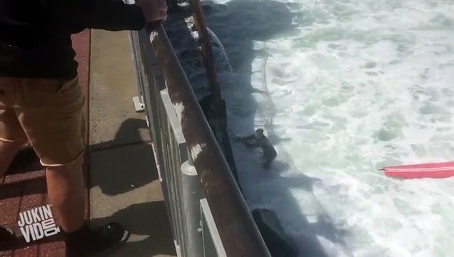 Серфер между большими волнами и стеной