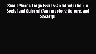 Small Places Large Issues: An Introduction to Social and Cultural (Anthropology Culture and