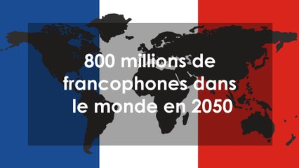 Francophonie : une mine d’or ?