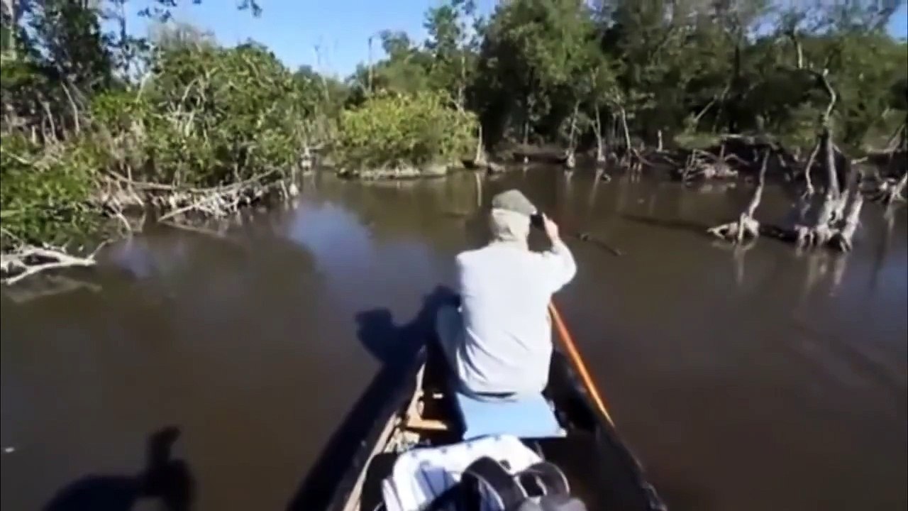 Что это за  существо