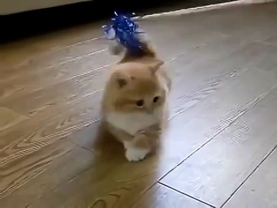 Вы видели что-то милее!)