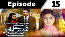 Tum Mere Kya Ho on PTV Home Episode 15 - 28 Jan 2016