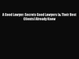 A Good Lawyer: Secrets Good Lawyers (& Their Best Clients) Already Know  Read Online Book