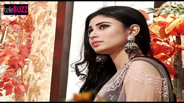 Naagin - Ritik KILLS Shivanya – SHOCKING - 30th January 2016 EPISODE