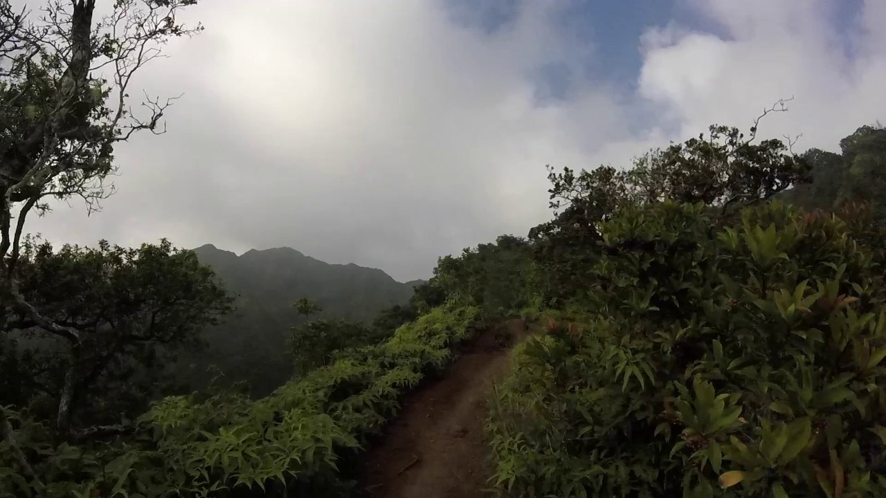 Kuliouou Ridge Trail