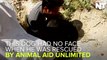 Animal Shelter In India Saves Hundreds Of Lives