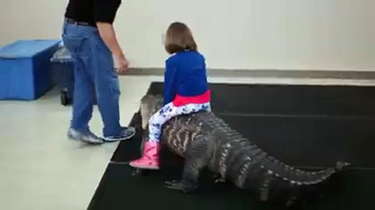 Amazing Video Girl Playing With Crocodile funny moment 2016