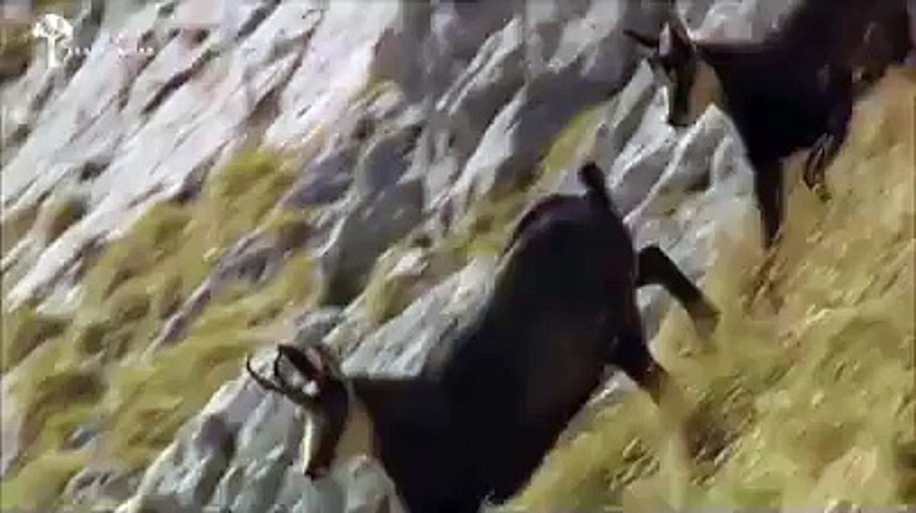 Funny Videos - Fail Compilation 2016 - Funny Pranks - Funny People - Funny Vines - Funny Fails 2015