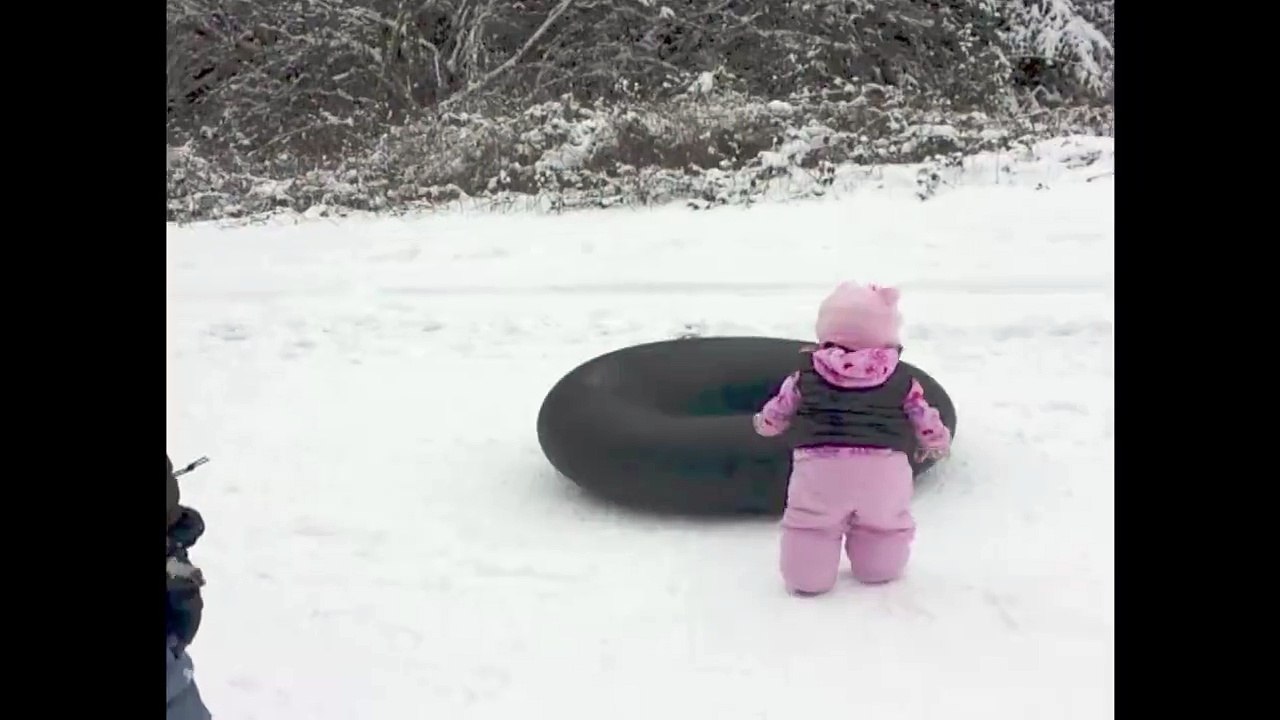 Perro divirtiendose en la nieve