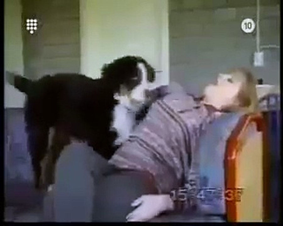 hola, nada, para que te rias un rato.  Videos Sorprendentes