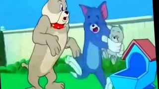 Tom and Jerry   Tom and Jerry Full Episodes   Tom and Jerry Cartoon HD