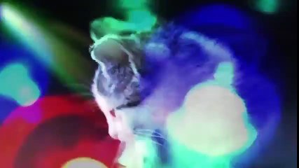 Funny Cat Video - Pass the Cat Nip