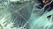 NASA publica imágenes de radar de las líneas de Nazca desvelando zonas alteradas
