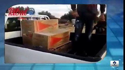 بالفيديو بالقيروان شاهد ماذا فعلت إمرأة أثناء اقتحامهم لمنزلها لحجز بضاعة ابنها المهربة