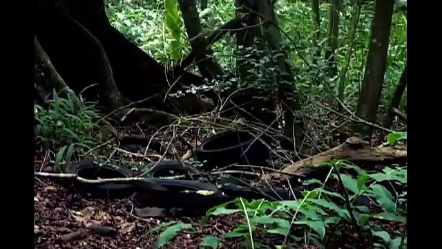 UFO Sighting & Alien Abduction Caught on Tape! Doomsday?