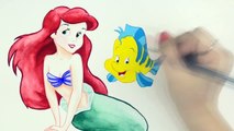 La VITESSE de DESSIN Ariel de La Petite Sirène de Disney Princess Peinture à lAquarelle