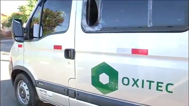 Mosquitos transgénicos para la lucha contra el zika y el dengue en Brasil