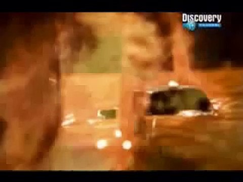 10 Maneiras do Mundo Acabar [Dublado] Documentário Completo Discovery Channel