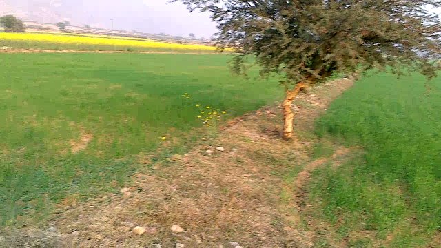 nice view of United states of Ismaila out side of Kernal sher khan cadet college