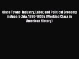 Glass Towns: Industry Labor and Political Economy in Appalachia 1890-1930s (Working Class in