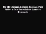 The White Scourge: Mexicans Blacks and Poor Whites in Texas Cotton Culture (American Crossroads)