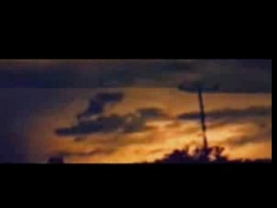 Barikat - Solup Giden Çiçekler (Left Flowers)