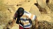 Berber tribes   Nomads of the Sahara